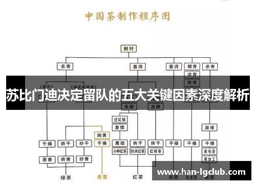 苏比门迪决定留队的五大关键因素深度解析